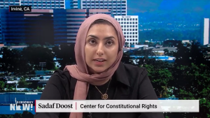 Screen grab from the Democracy Now interview with Sadaf Doost. 